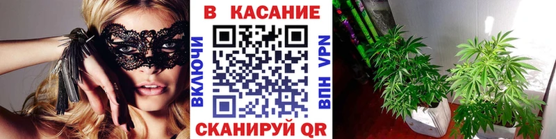 Где продают наркотики Верея Кокаин  СК  Амфетамин  ГАШИШ  Бошки Шишки  Меф 